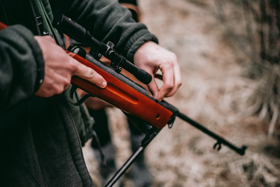 Duck Hunting Adventures Await You