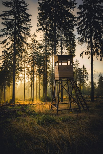 Exploring the Best Hunting Preserve in Greenville